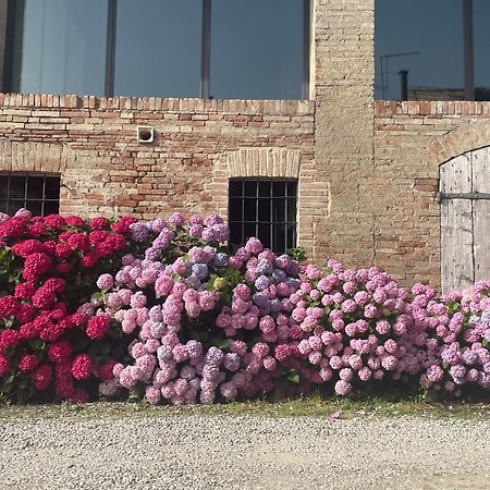 B&B Il Conte Giacomo Viarolo Exteriér fotografie