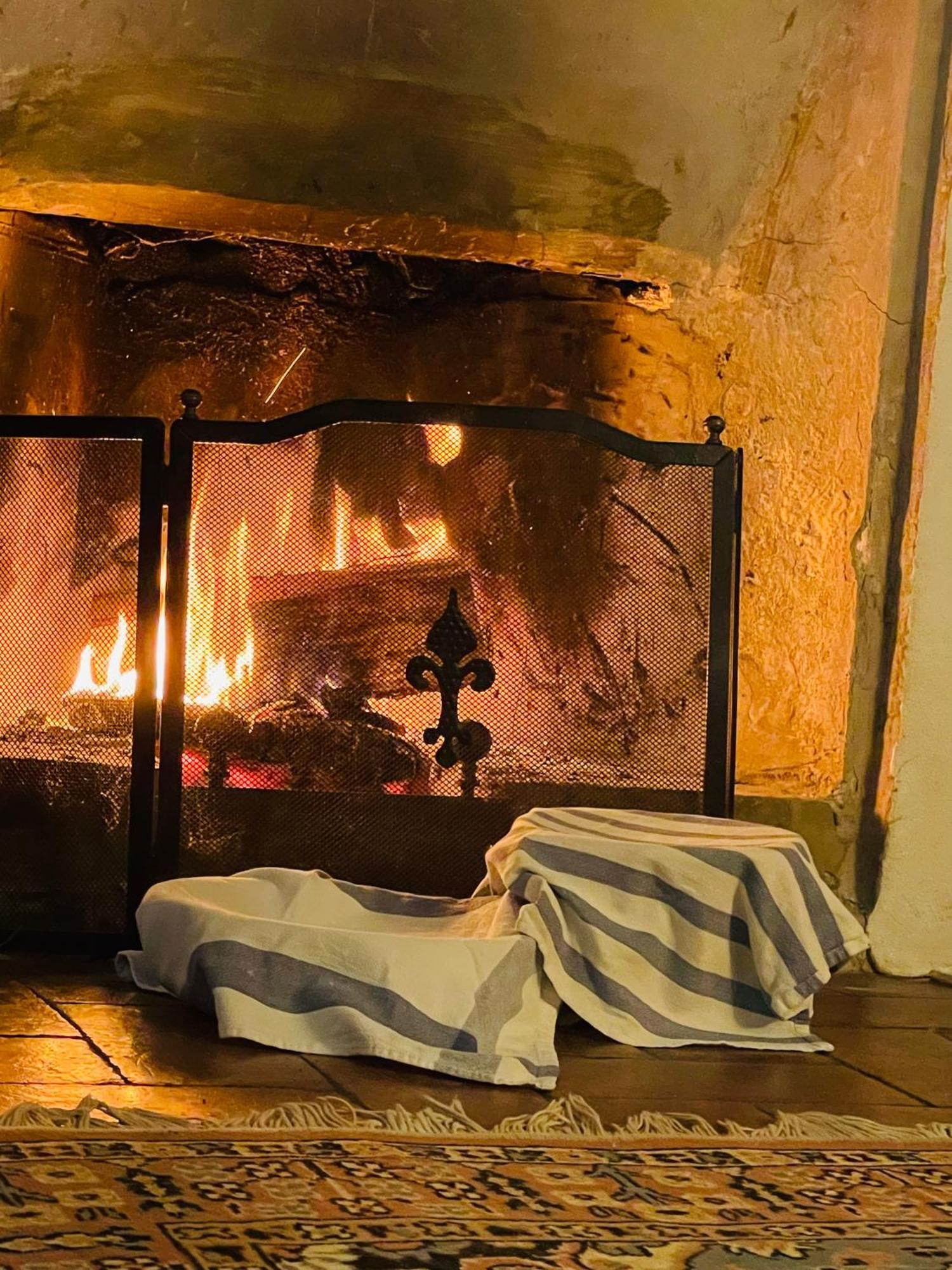 B&B Il Conte Giacomo Viarolo Exteriér fotografie